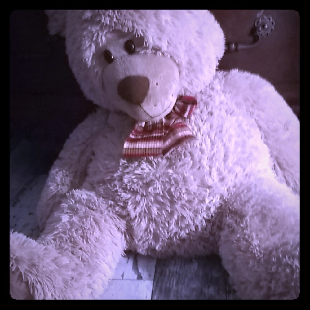 New bear 🐻